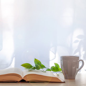 Hipster wooden desk with an open thick book, green leaves and a gray cup with coffee set under the window. Copy space