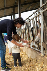 Young dad and little baby girl feeding a donkey in a farm.