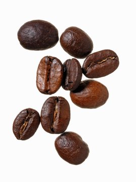 Robusta coffee beans