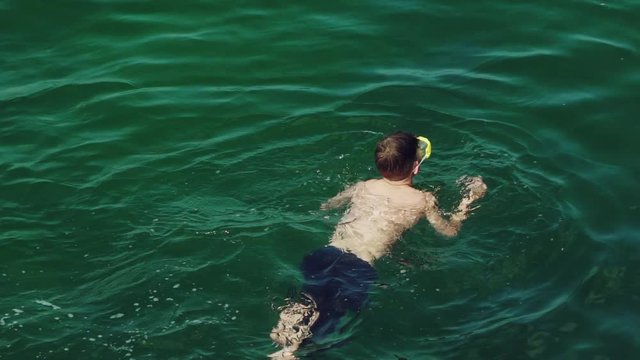 guy in blue shorts is swimming under water in a mask in the sea in the summer. Slow motion