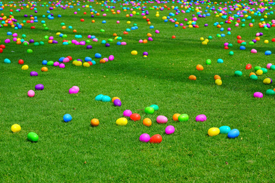An Easter egg hunt with colorful plastic eggs on a green lawn
