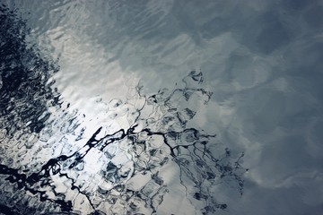 reflection of trees in water