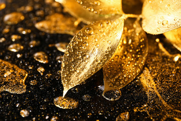 Golden leaves with drops on textured background