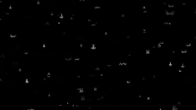Moths flying against a black background. 