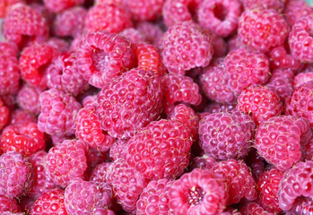 Berry background of ripe garden raspberry. Healthy food. Close-up view