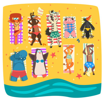 Wild animals sunbathing on the beach, cute animals cartoon characters relaxing on the seashore at summer vacation vector Illustration on a white background