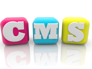 CMS concept on colorful cubes on white background