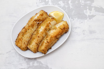 fried strips cuttlefish on white dish