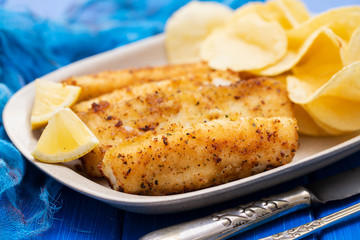 fried strips cuttlefish on white dish on blue background