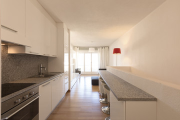 White kitchen with parquet