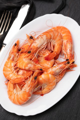 boiled shrimps on white dish