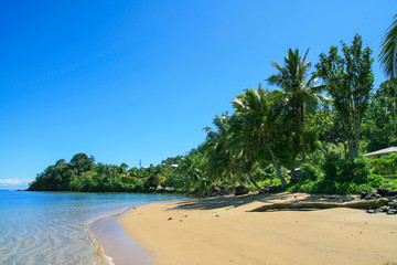 Sandy beach exotic island coast near Salelesi village during sunny day, Upollu Island Western Samoa, Polynesia, Pacific Ocean