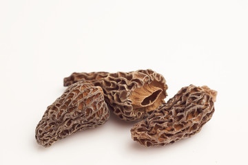 Morel mushrooms on white background macro