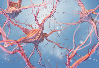Neurons and nervous system - 229759250