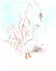 Drawing with watercolors: white goose under the moon on the lake.