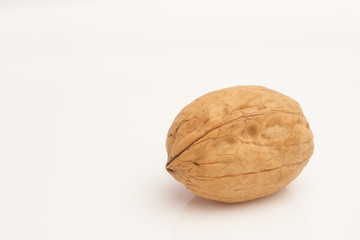 Walnut on white background macro
