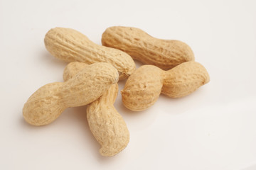 Peanut on white background macro