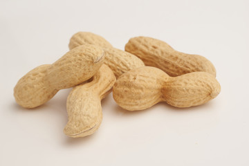 Peanut on white background macro