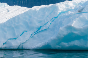 Fototapeta na wymiar Iceberg from Sawyer glacier in Tracy Arm fjord near Juneau Alaska
