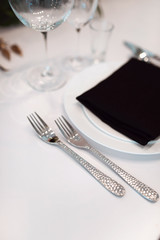 Wedding decor, interior. Festive. Banquet table