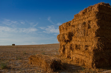 Stack of straw bales in the harvested field