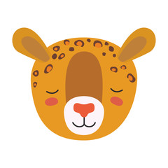 wild cheetah animal head