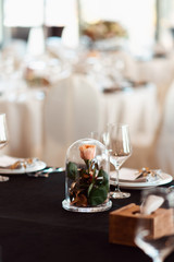 Rose in a glass flask. Wedding decor, interior. Festive. Banquet table