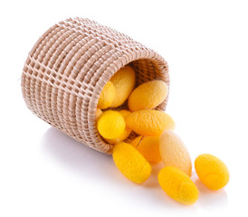 yellow cocoons in basket on white background