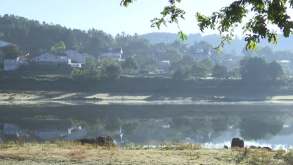 PANORAMA OF A LAKE WITH HOUSES IN THE MORNING