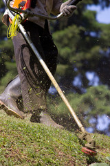 Mowing the Lawn