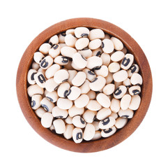 Blackeye peas  in bowl on white background