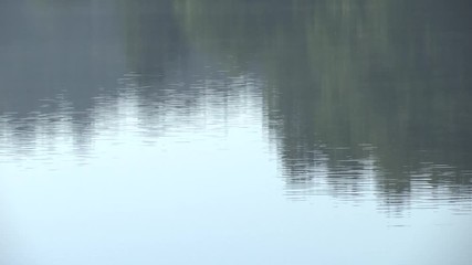 WAVES OF THE WATER WITH REFLECTS