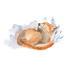 Watercolor animal illustration.