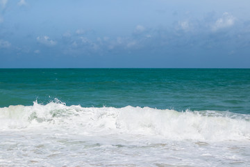 Smooth white foamy wave splashing on sandy beach with wooden branch