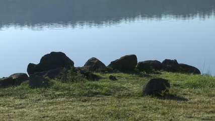 STONES IN THE SHORE OF A LAKE