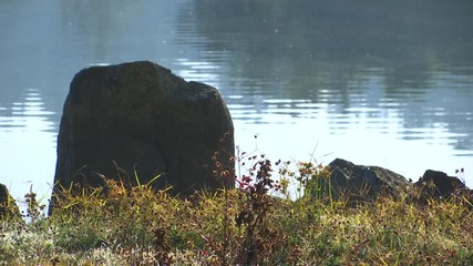 STONE IN THE SHORE OF A LAKE