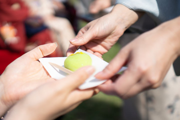 Japanese tea ceremony in a Japanese garden