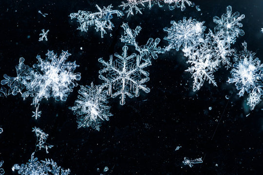 fragment of snow texture Snowflakes close-up. crystal clear ice. macro photo. winter. shallow depth of field. Christmas background for layout. christmas theme.
