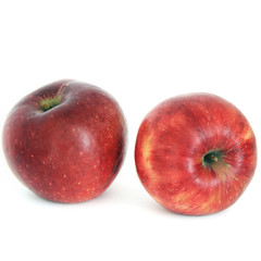 Apples on white background