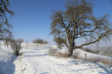 Winter landscape. Winter road among the trees.