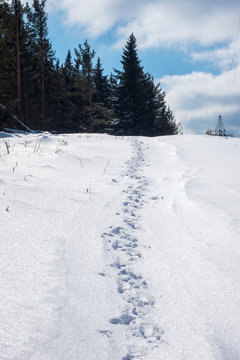 snow trail close up. hiking in the mountains in winter. huge drifts. hard walk in the winter peroid