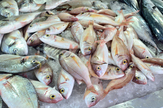 fresh dorado fish at the fish market macro