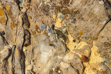 The sunlit texture of the sandstone surface with brown moss