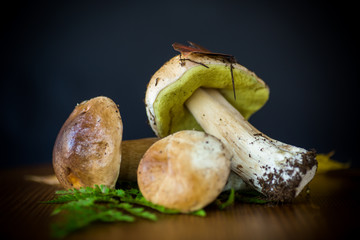 forest fresh natural mushrooms boletus on a black