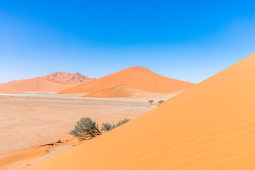 Fototapeta na wymiar Sossusvlei, view standing on dune 45, Namibia.