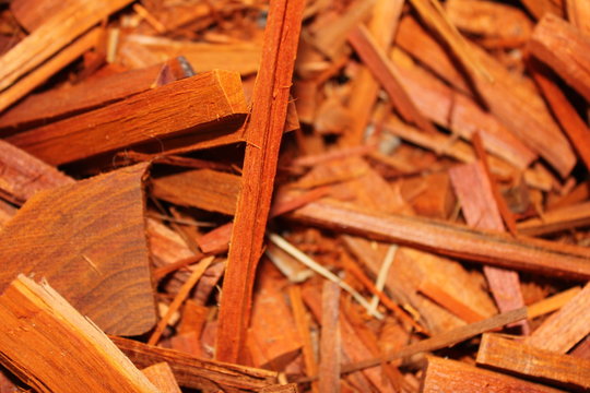 Organic Pathimukham or Sappan wood (Caesalpinia sappan) chips.  Dried wood has medicinal properties.