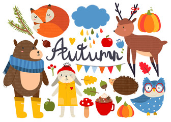 Cute autumn animals and various objects. Colored vector set. All elements are isolated