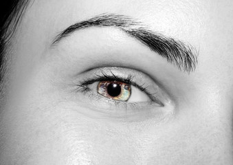 A beautiful insightful look girl's eye. Close up shot.