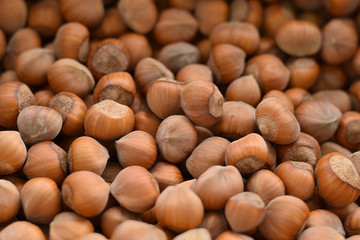 hazelnuts