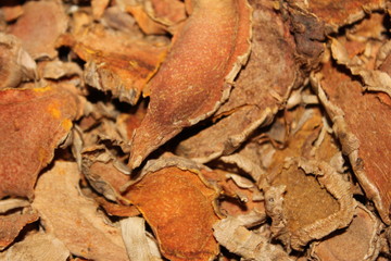 herbal tumeric 